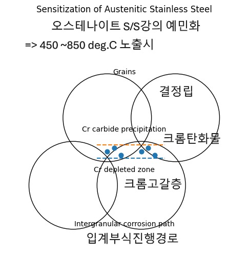 Sensitization of Austenite S/S